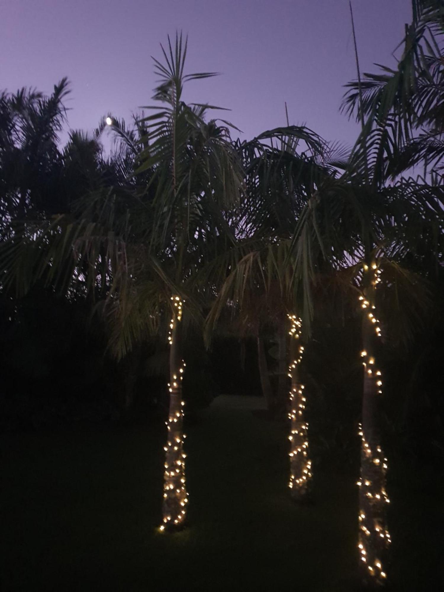 Kiwiblue Otel Kerikeri Dış mekan fotoğraf