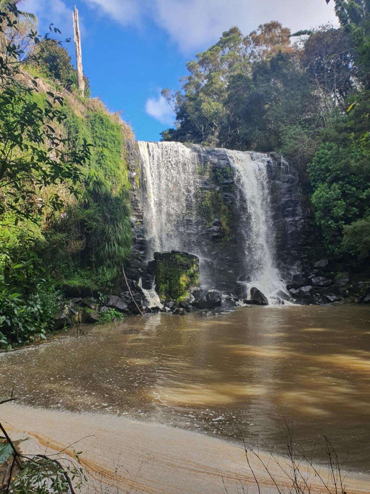 Kiwiblue Otel Kerikeri Dış mekan fotoğraf